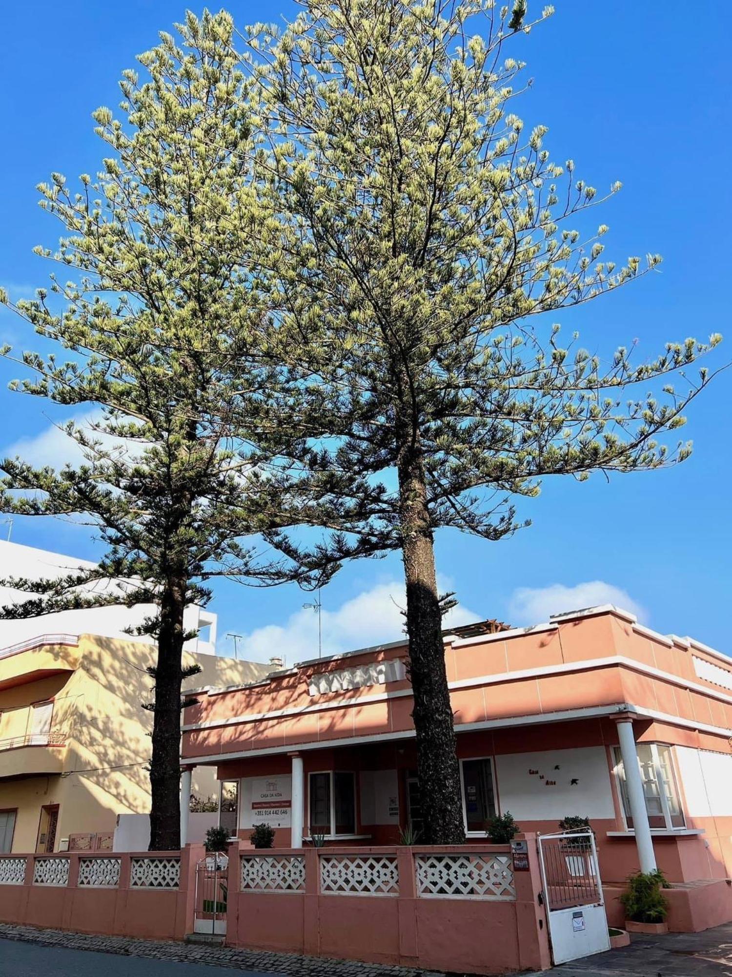 Casa Da Aida Apartment Fuzeta Ngoại thất bức ảnh